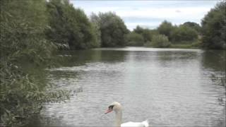 LONGFORD FISHERY LONGFORD ASHBOURNE DERBYSHIRE [upl. by Blithe]