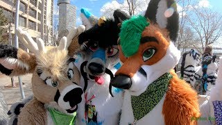 Furnal Equinox 2019  Random Clips [upl. by Marinelli]