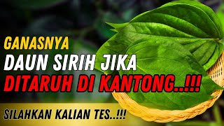 🛑 SILAHKAN TES Keajaiban Meletakkan Daun Sirih di Dalam Kantong Dalam Dunia Spiritual [upl. by Silisav417]