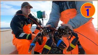 First haul of lobsterseason 2022 HUMMERFISKE 2022 [upl. by Aneet]