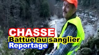 CHASSE  Battue au sanglier en Ardèche [upl. by Anires]