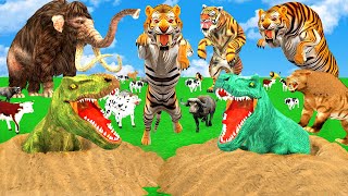 3 SaberToothed Tigers VS Tyrannosaurus rex Attack Cow Buffalo Saved By Wolly Mammoth Smilodon TRex [upl. by Lleze]