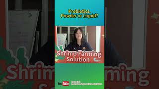 Probiotics  shrimp farm choose powder or liquid advantage and disadvantage about probiotic｜tips [upl. by Dirgni]