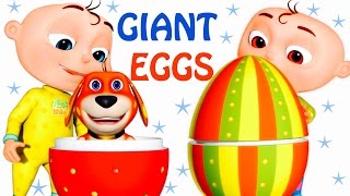 Five Little Babies Opening Giant Eggs  Zool Babies Fun Songs  Five Little Babies Collection [upl. by Hplar]