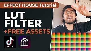 LUT amp Color Grading Filter for TikTok ✨  Effect House Tutorial [upl. by Blackwell454]