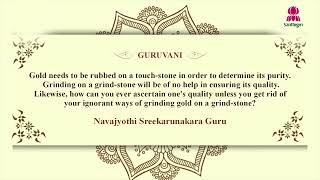 Today’s Guruvani  English  17112024  Santhigiri Ashram  Daily [upl. by Asirrac]