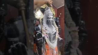 Murugan Songs in Tamil  முருகன் பக்தி பாடல்கள்  Murugan Whatsapp Status Tamil  Kandhan Devotees [upl. by Alberto]