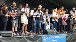 Hanwell Ukulele Group HUG  Walkin Talkin  The Men They Couldnt Hang cover [upl. by Heller342]