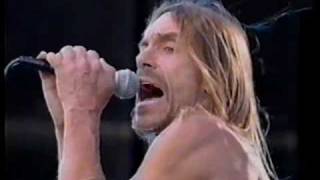 Iggy Pop with Whitey Kirst Death Is Certain [upl. by Alidus]