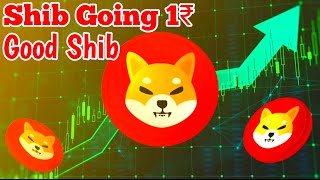 Shiba Inu Coin Latest Updates 📣 SHIBA INU COIN NEWS TODAY 🥰 Shiba Inu Coin Price Prediction 2024 [upl. by Sharyl]