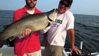 Lake Ontario Brown Trout Fishing [upl. by Amye671]