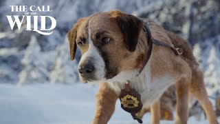 The Call of the Wild  New Lead Dog Clip  20th Century Studios [upl. by Erlond]