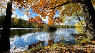 Herbst am Bettenauer Weiher Jodellied Im Morgengrauen aus dem Jodelmusical auf immer und ewig [upl. by Ainollopa806]