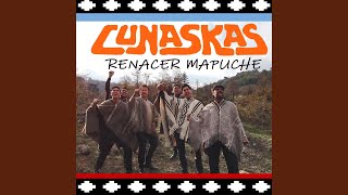 Renacer Mapuche [upl. by Arayk]