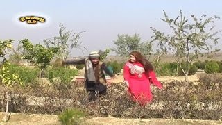 Da Gulabi Rukhsar Janana  Sta So Khawah Na Da Ghodar Gharah  Pashto Song And Dance [upl. by Adnaloj]