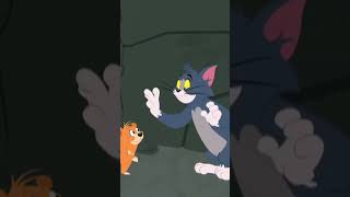 Bear Attack  Tom and Jerry  BoomerangUK  shorts kids cartoons [upl. by Kan627]