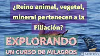 ¿Reino animal vegetal mineral son parte de la Filiación  Explorando Un Curso de Milagros [upl. by Silverstein]