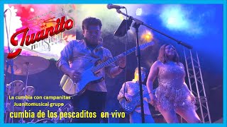 CUMBIA DE LOS PESCADITOS DESDE OAXACA  JUANITOMUSICAL EN VIVO [upl. by Sharlene]