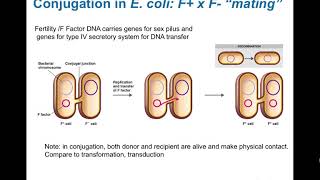 Conjugation and Transduction in Bacteria movie 3 18 2020 [upl. by Phillie]