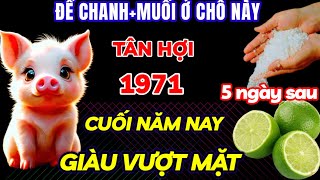 THẦY TỬ VI MÁCH NƯỚC TÂN HỢI 1971 LÀM NGAY VIỆC NÀY ĐÚNG 5 THÁNG CUỐI NĂM TIỀN ÙA VỀ GIÀU VƯỢT MẶT [upl. by Seavey]