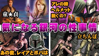 【スター・ウォーズ解説】銀河の夜の生活に迫る [upl. by Yenahs]