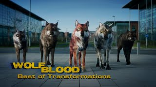 Best of Transformations 40 🐺❤  Special  Wolfblood [upl. by Aniat]