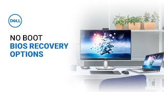 PC Won’t Boot  Dell Computer BIOS Recovery Options Official Dell Tech Support [upl. by Nryhtak]