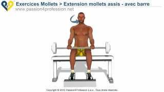 Exercices Musculation mollets assis avec barre [upl. by Alexandr]