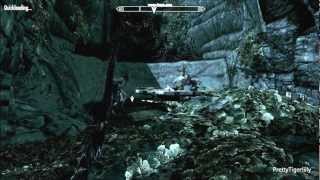 Skyrim Briarheart creation ritual Hagravens transform a man into a Briarheart [upl. by Dogs]