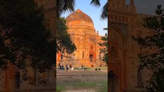 Lodi Garden View 😱 Delhi shorts tours delhi garden travelling explore [upl. by Riay]