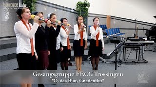 FECG Lahr  quotO das Blut Gnadenflutquot  Gesangsgruppe FECG Trossingen [upl. by Sile]