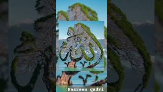 urdupoetry exploreislam islamicpoetry urdu allahﷻallah [upl. by Novrej]