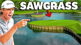 Can Grant Horvat Break 73 at TPC Sawgrass The Players [upl. by Alex]