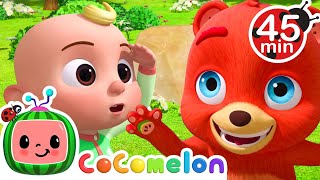 Peekaboo Song  More  CoComelon Animal Time  Learning with Animals  Nursery Rhymes for Kids [upl. by Stark]