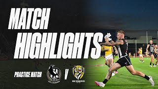 Lipinski De Goey and Daicos star as Pies defeat Tigers  Match Highlights [upl. by Novar]