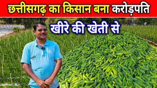 छत्तीसगढ़ का किसान बना‌ करोड़पति 😱 Khira ki kheti Se ✅।Cucumber cultivation।Millionaire farmer of CG [upl. by Hannasus467]