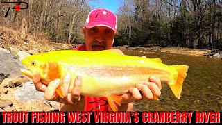 Trout Fishing West Virginias Cranberry River [upl. by Margit75]