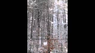 Somersworth nh snow [upl. by Akemyt]