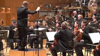 Netherlands Symphony Orchestra  Danse Macabre [upl. by Vita475]