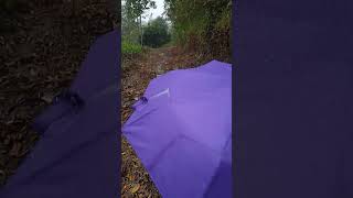 ☔☔☔☔🌧️🌧️ aaworld1690 youtubeshorts nature malayalam aampaworld [upl. by Tucker]