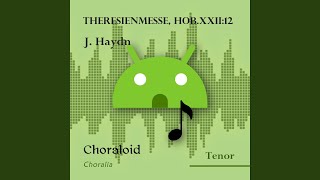 Theresienmesse HobXXII12 Agnus Dei Voice with metronome [upl. by Grote]