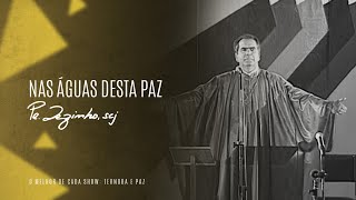 Padre Zezinho scj  Nas águas desta paz  Show Ternura e Paz [upl. by Eisenstark653]