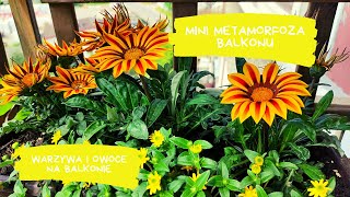 Warzywa na balkonie  mini metamorfoza balkonu [upl. by Clie]