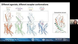 Structural insights into the activation and modulation of a class B1 GPCR by small molecule ligands [upl. by Ferdinanda]