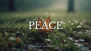 PEACE  Soaking Worship Instrumental  PRAYER [upl. by Onaicnop648]