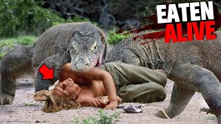 The top 15 deadliest Komodo dragon fights ever caught on camera [upl. by Ahsias]