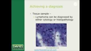 Lymphoma in cats and dogs Which protocol by Shasta Lynch [upl. by Aieken261]