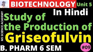 Production of GriseofulvinIn HindiPharmaceutical Biotechnology Unit 5 B Pharmacy 6 SemL9 [upl. by Nadroj123]