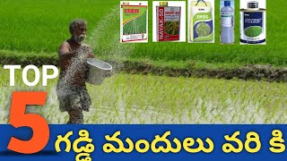 Top 5 herbicides for paddy  వరి కి గడ్డి మందులు  rifit plus eros preet herbicides  agri mentor [upl. by Bordiuk]