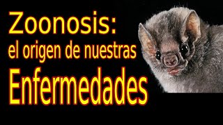 Zoonosis  el origen de las nuevas enfermedades y las viejas también [upl. by Mcclain]